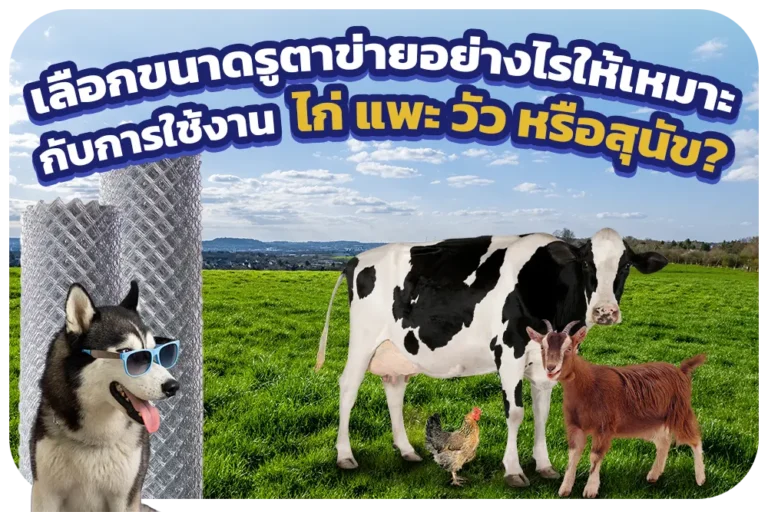 เลือกขนาดรูตาข่ายอย่างไรให้เหมาะกับการใช้งาน ไก่ แพะ วัว หรือสุนัข?